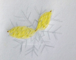 drawing of two lemons and a snowflake